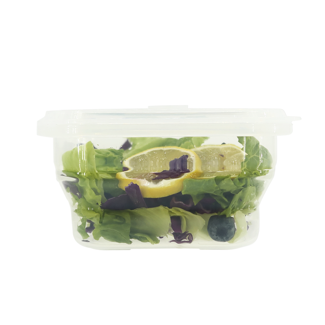 Durbl Fold-up Container-Lg