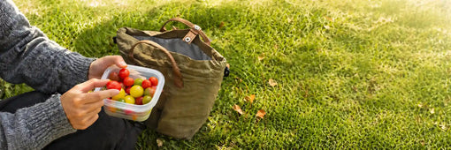 3 Easy Work Lunches You Can Pack in a Fold-Up Container