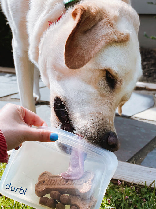 Delicious 4-Ingredient Pet Treats