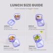 Fold-Flat Lunch Set (3-Pack)